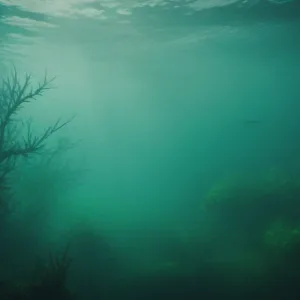 Depths