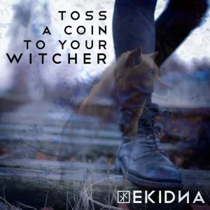 Toss a Coin to Your Witcher