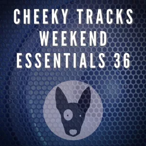 Snap Attack (radio edit)