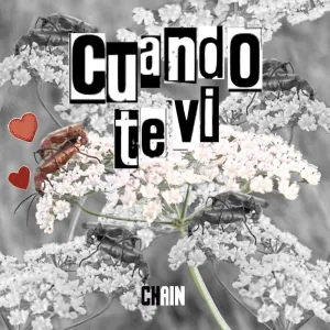 Cuando Te Vi