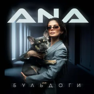 Бульдоги