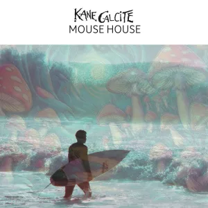 MOUSE HOUSE