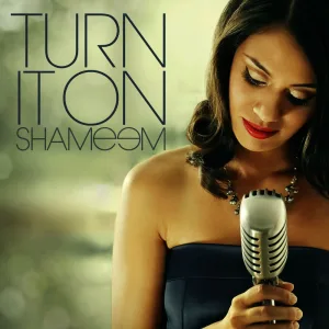 Turn It On (Karaoke Mix)