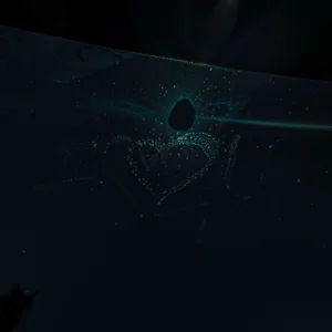Blind Love