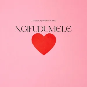 Ngifudumele