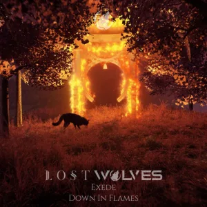 Down In Flames