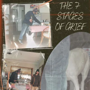 The 7 Stages Of Grief