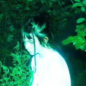 set fire to the rain breakcore