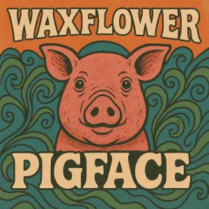 Pig face
