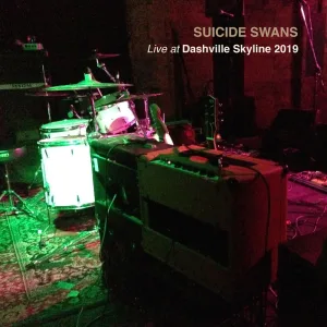Shadows of the Light (Live at Dashville, Skyline, 2019)