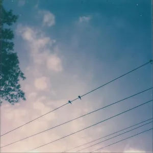 Alone