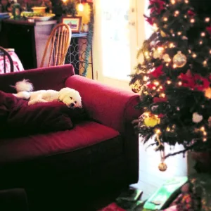 The Holiday (Acoustic)