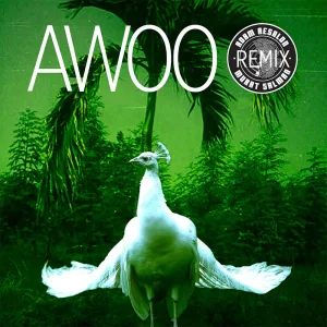 Awoo (feat. Betta Lemme) (Adam Aesalon & Murat Salman Remix)