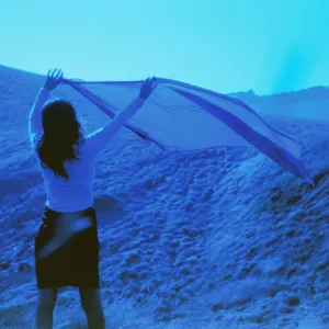Dream Lover