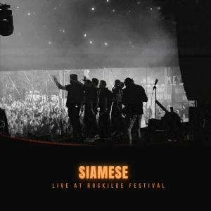 The Shape of Water (Live At Roskilde Festival)