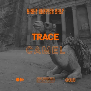 Camel
