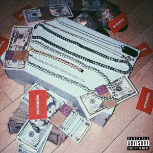 riches & bitches