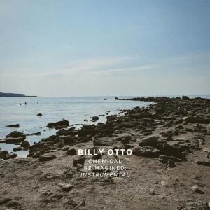 Instrumental