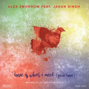 Love Is What I Need (Your Love) (main mix)