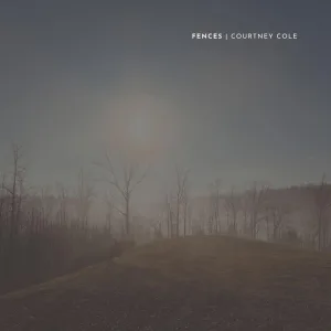 Fences