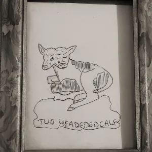 Two headed calf