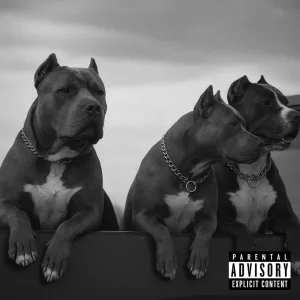 Big Dawgs (feat. MAGNU$$)