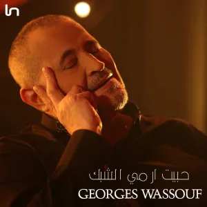 حبيت ارمي الشبك
