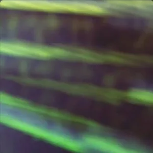 Deep Time (Radio Edit)
