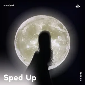 moonlight - sped up + reverb