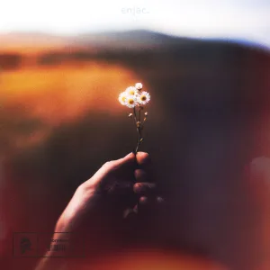 skin sparks