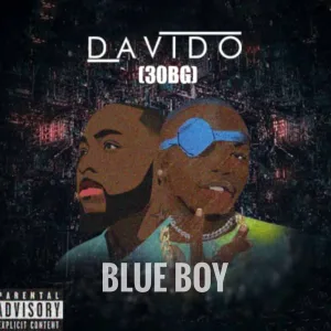 Davido (30Bg)
