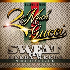Too Much Gucci