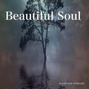 Beautiful Soul