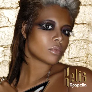 Acapella (Bimbo Jones Vocal Remix)
