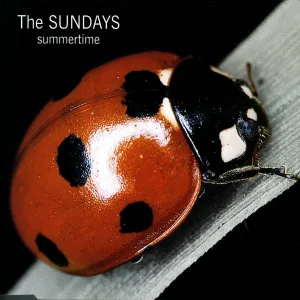 Skin And Bones (Live BBC John Peel Session)