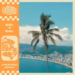 sol y sal