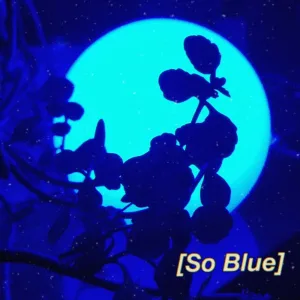 So Blue