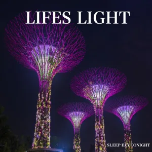 Lifes Light