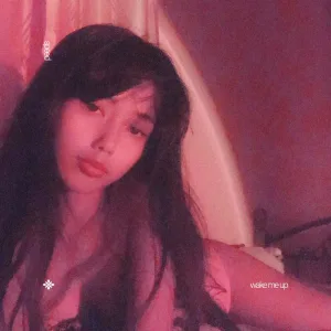 wake me up - sped up + reverb