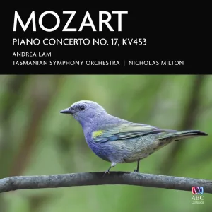 Piano Concerto No. 17 in G Major, K. 453: 2. Andante