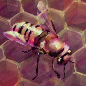 Honeycomb