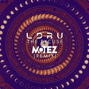 The Excuse (Motez Remix)