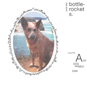A Dog Named Sam