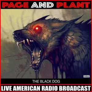 Black Dog (Live)