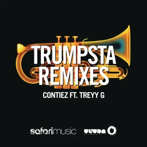 Trumpsta (Djuro remix)