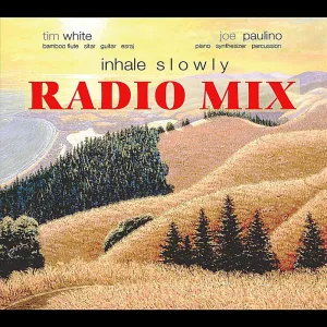 Morning Chai, Pt. 1 (Radio Mix)