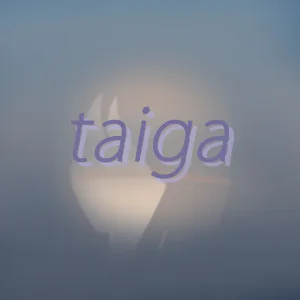 taiga