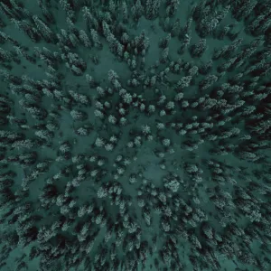Energetic Indigo