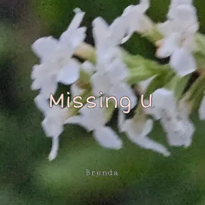 Missing U