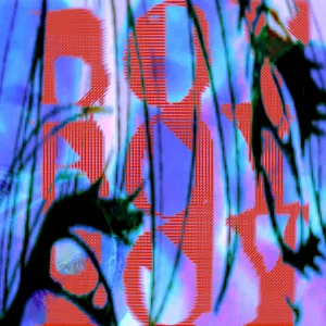 boy (feat. estrobin)